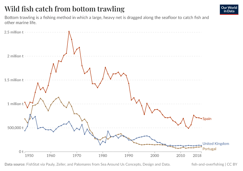Wild fish catch from bottom trawling