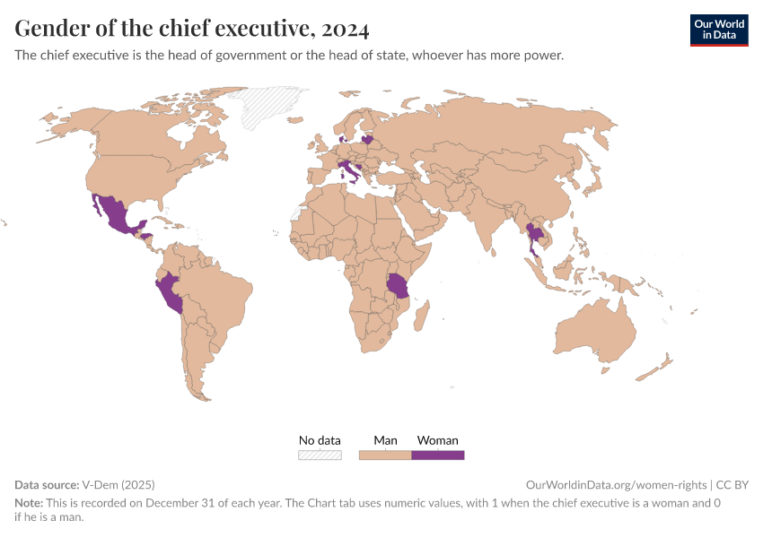 A thumbnail of the "Gender of the chief executive" chart